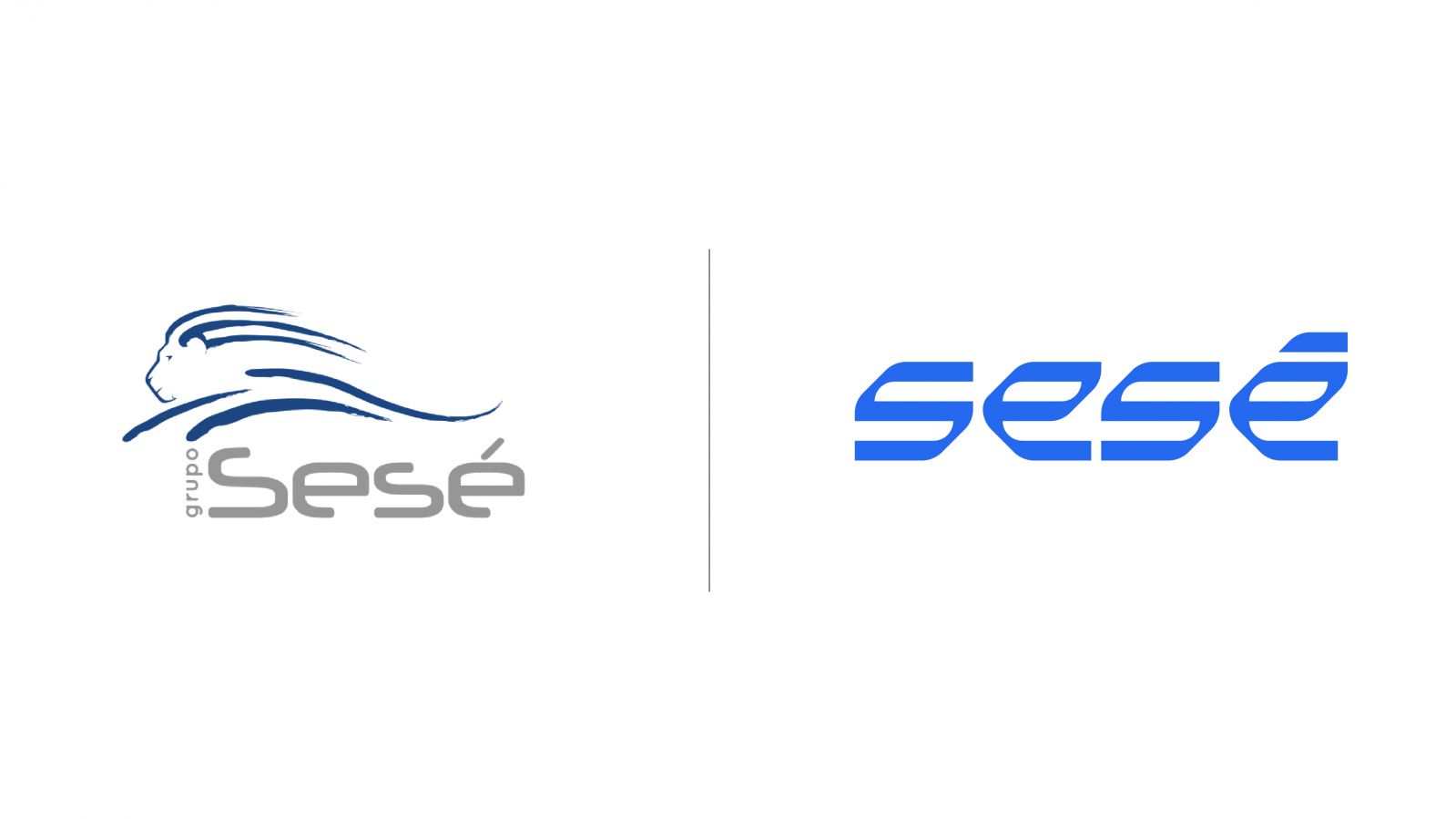 Exports_casoweb_sese_Logotipos