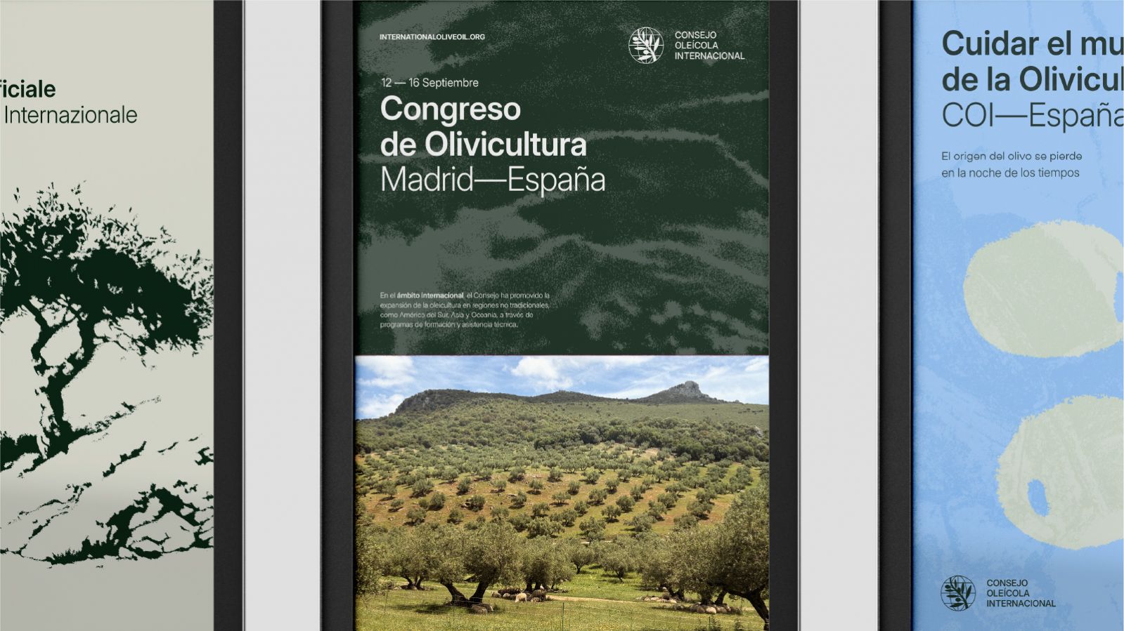 5_1600x900 copia_2-100